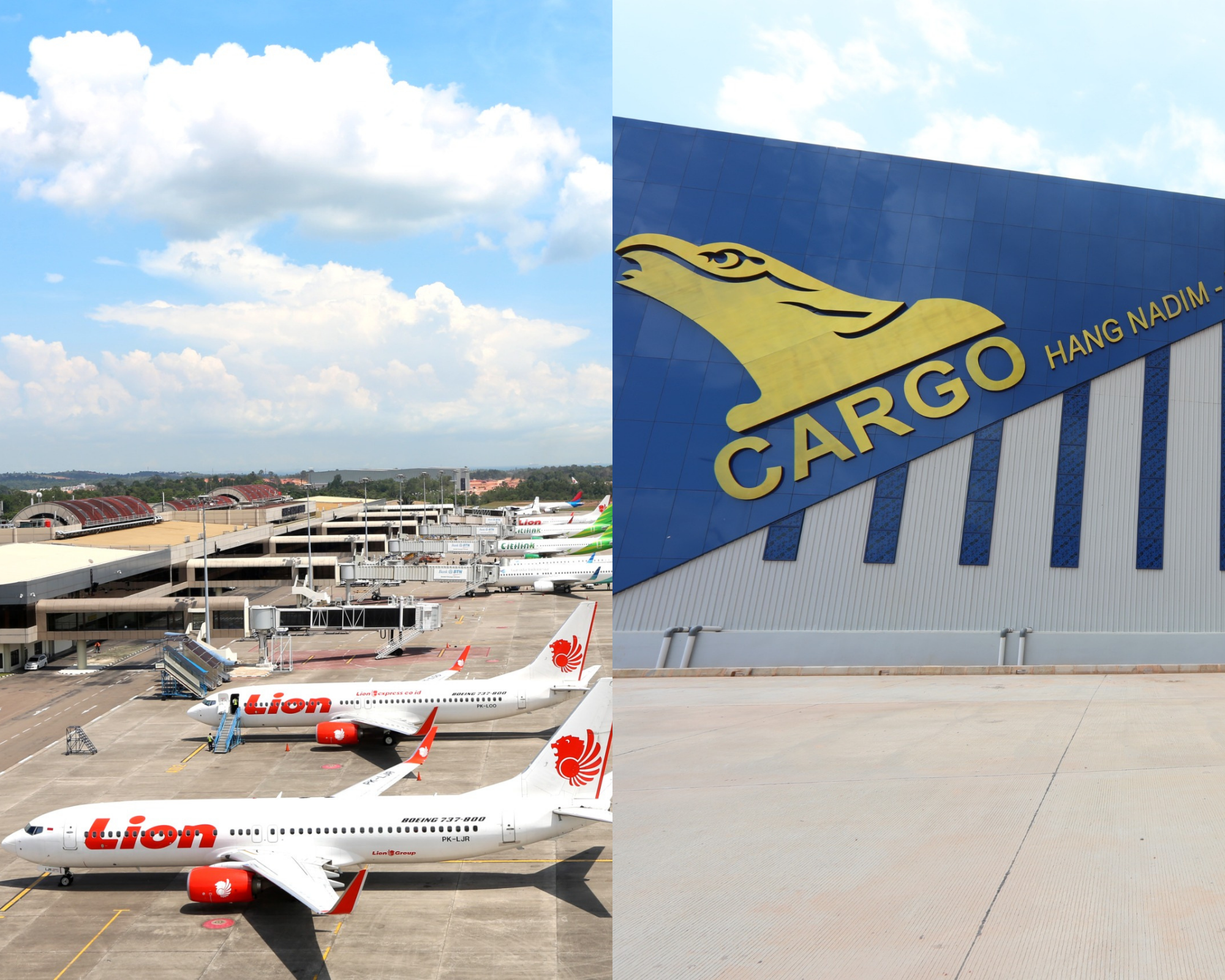 Bandara Hang Nadim & Cargo